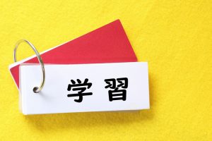 セキツイ動物と無セキツイ動物の違いはナニ 分類を学びたい セキツイ動物と無セキツイ動物の違いはナニ 分類を学びたい