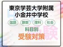 東京学芸大学附属小金井中学校の科目別受験対策。国語・算数・理科・社会の勉強法