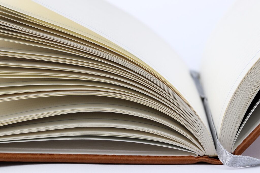 東京都立白鷗高等学校附属中学校の入試概要