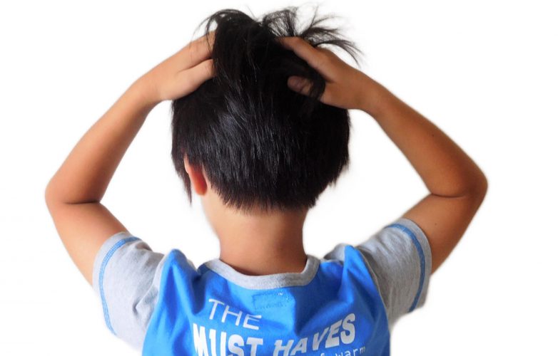 【中学受験】グノーブルの評判は。ついていけないぐらい難しい？