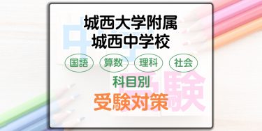 城西大学附属城西中学校の科目別受験対策。国語・算数・理科・社会の出題傾向と勉強法