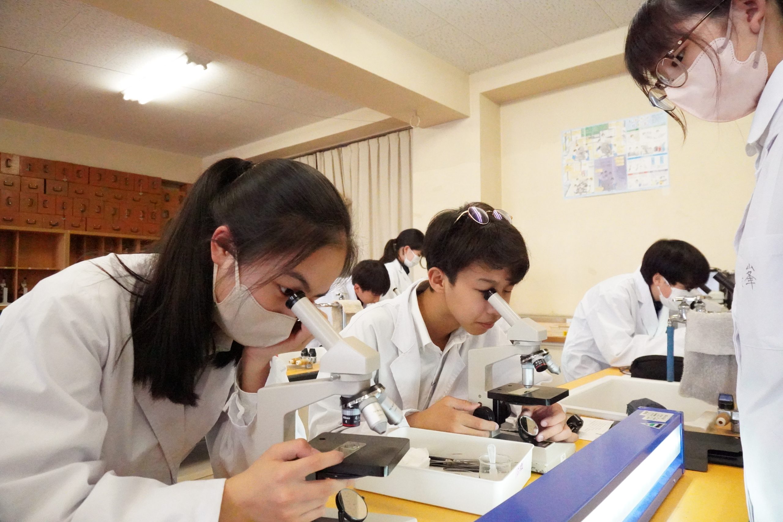 中学受験赤本　開智・開智所沢、麗澤、昭和学院、東洋大京北 Amazon.co.jp: 開智中学校・開智所沢中等教育学校 2026年度用 3