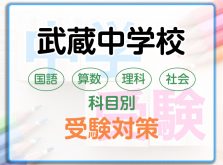 武蔵中学校の科目別受験対策。国語・算数・理科・社会の勉強法