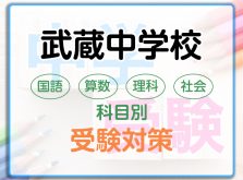 武蔵中学校の科目別受験対策。国語・算数・理科・社会の勉強法
