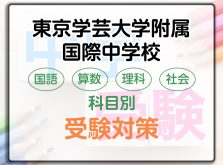 東京学芸大学附属国際中学校の受検対策。A方式・B方式の勉強法